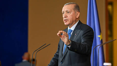 Израиль должен предстать перед международным судом – Эрдоган — RT World News