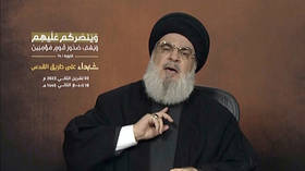 Hezbollah ‘entered battle’ on October 8 – leader