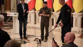 Earth should be ‘a planet of dogs’ – Zelensky 