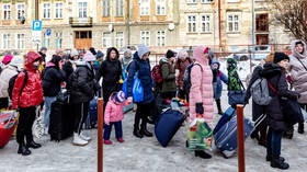 Millions of Ukrainian refugees visit home – UN