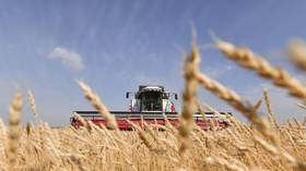 Russia sends free grain to two African countries