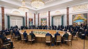 Putin provides update on multinational anti-terrorism op