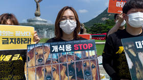 Korean dog farmers threaten to release 2 million hounds