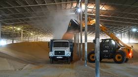 Russia considering grain export ban – Izvestia