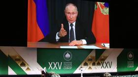 Strong Russia vital to world order – Putin