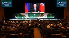 Large families should be the norm – Putin