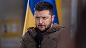 Zelensky admits Ukraine may never join NATO