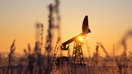 ОПЕК+ продлит сокращение добычи нефти — RT Business News