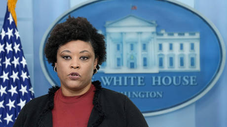 FILE PHOTO: Office of Management and Budget director Shalanda Young speaks at a briefing at the White House in Washington, DC.