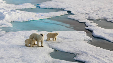 Russische Investitionen in die Arktis boomen – offiziell – RT Business News