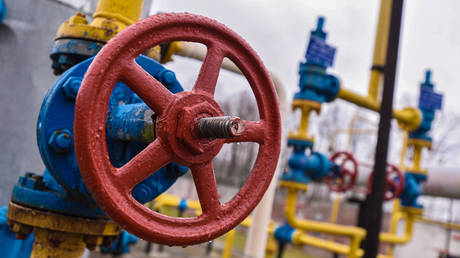 EU may allow member states to ban Russian gas – FT