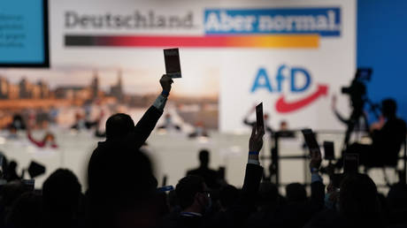 Rising German party designated ‘extremist’ in third region — RT World News