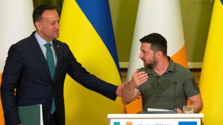 Ireland's Prime Minister Leo Varadkar talks with Ukrainian President Vladimir Zelensky on the day of a joint news briefing at Horodetskyi House, on July 19 in Kiev, Ukraine.