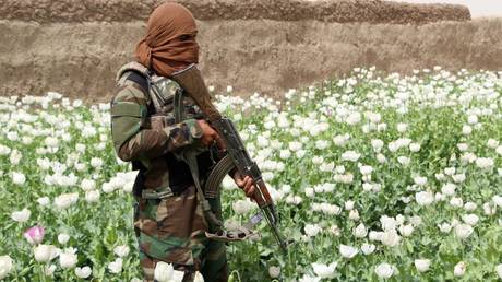 Taliban gewinnen Krieg gegen Opiumhandel – RT Business News