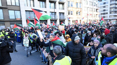 Demonstrators in Brussels demand a ceasefire in Gaza