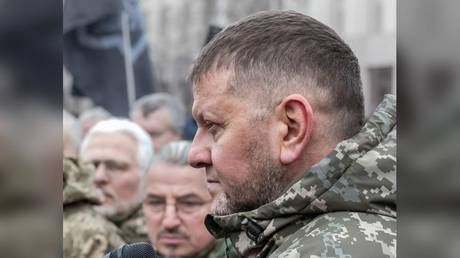 Oberster ukrainischer General kritisiert Selenskyj – Medien – RT Russland und die ehemalige Sowjetunion