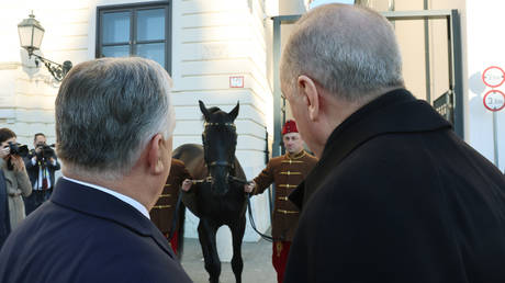 Orban schenkt Erdogan ein Pferd (VIDEO) – RT World News