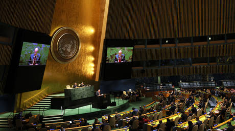 Fast 50 Länder stimmen gegen UN-Resolution gegen den Nationalsozialismus – RT World News