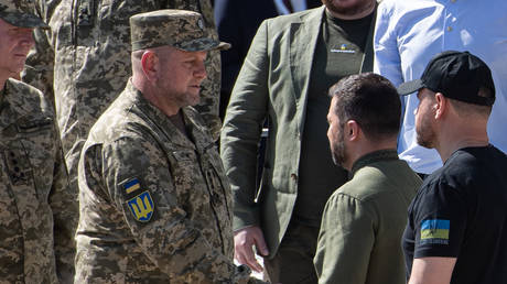 FILE PHOTO: Ukrainian President Vladimir Zelensky (R) shakes hands with General Valery Zaluzhny.