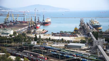 FILE PHOTO: Novorossiysk Sea Trade Port.