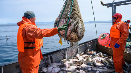 USA sanktionieren russischen Fisch – RT Business News