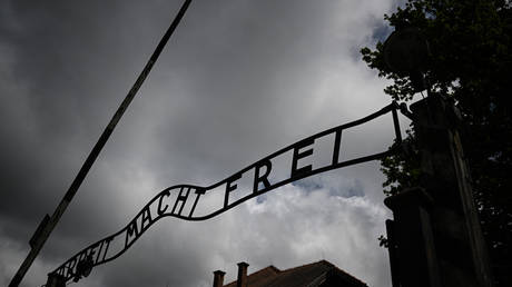 Netherlands spied on Holocaust survivors — RT World News