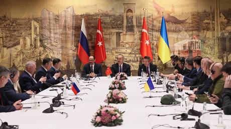 FILE PHOTO: Delegations from Russia and Ukraine meet in Istanbul, Türkiye on March 29, 2022.