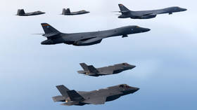 US ally to retire fighter jet struck by bird
