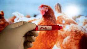 EU-staat meldt 'zeer pathogene' uitbraak van vogelgriep