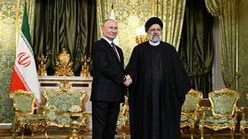 Russia and Iran ‘building momentum’ – Putin