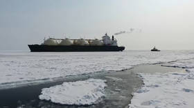 Russia to launch year-round LNG shipments via Arctic – operator