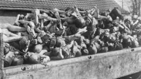 Only half of young US adults believe Holocaust took place – poll