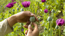 World’s new top opium producer revealed