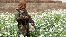 Taliban winning war against opium trade – UN