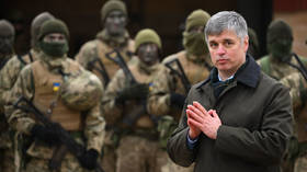 UK contemplating sending troops to Ukraine – ex-ambassador