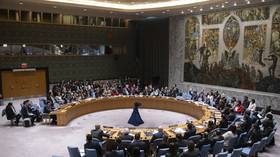 UN Security Council approves Gaza resolution ‘neutered’ by US
