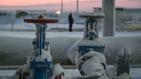 Foreign firms freeze work on Russia’s Arctic gas project – media