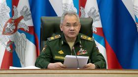 Russian military fulfilled main goal of 2023 – Shoigu