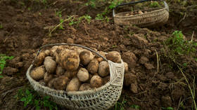European state to redirect space funds for potatoes