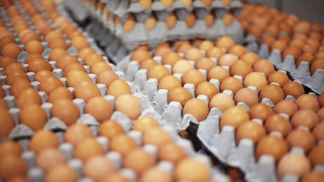 Russia scraps import duty on eggs — RT Business News