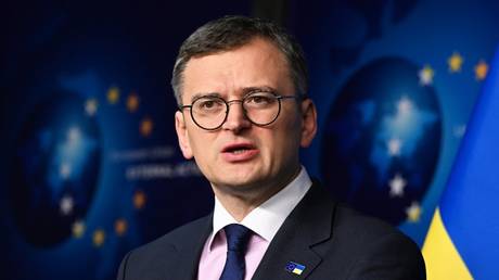 FILE PHOTO: Ukrainian Foreign Minister Dmitry Kuleba speaks to reporters at the EU headquarters in Brussels, Belgium, November 28, 2023.