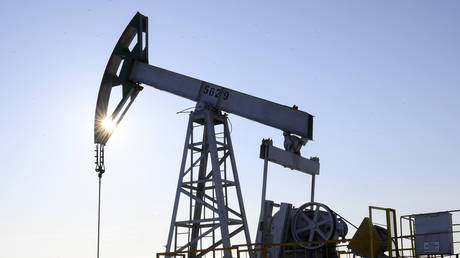 Russlands Ölindustrie trotzt westlichen Sanktionen – Bloomberg – RT Business News