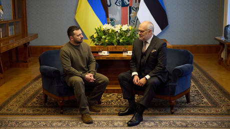 Estonian President Alar Karis (R) and Ukrainian President Vladimir Zelensky (L) meet in Tallinn, Estonia on January 11, 2024.