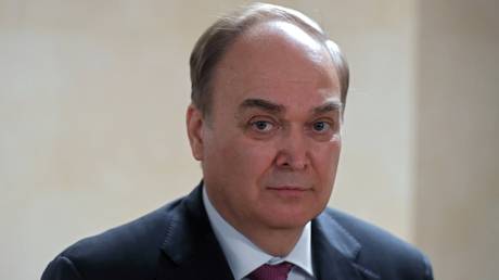 FILE PHOTO: Russian Ambassador to the US Anatoly Antonov.