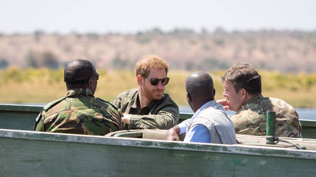 African conservation charity with Prince Harry as director faces allegations of crimes — RT Africa
