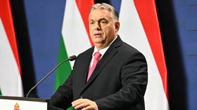 EU parliament launches ‘historic’ push to sanction Hungary 