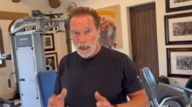 Arnold Schwarzenegger detained at German airport