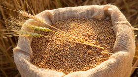 Grain gifted by Russia docks in Africa