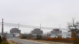 Russia responds to nuclear plant ‘mines’ claim