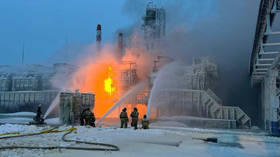 Russian gas operator names cause of terminal blaze